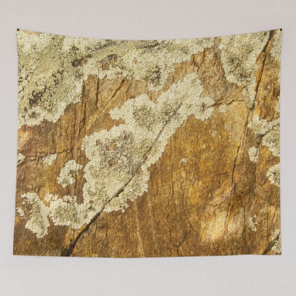 Item preview, orange moss on the stone 15 designed and sold by felipequeiroz.