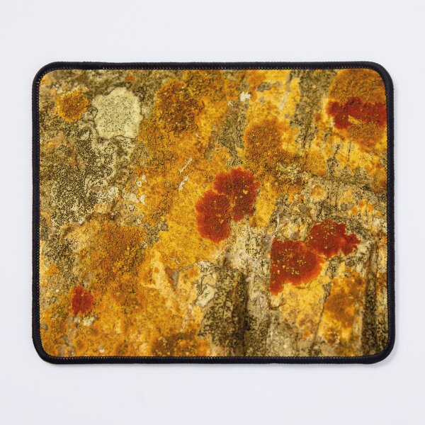 Item preview, orange moss on the stone 16 designed and sold by felipequeiroz.