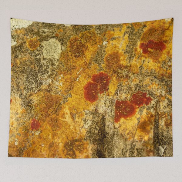 Item preview, orange moss on the stone 16 designed and sold by felipequeiroz.