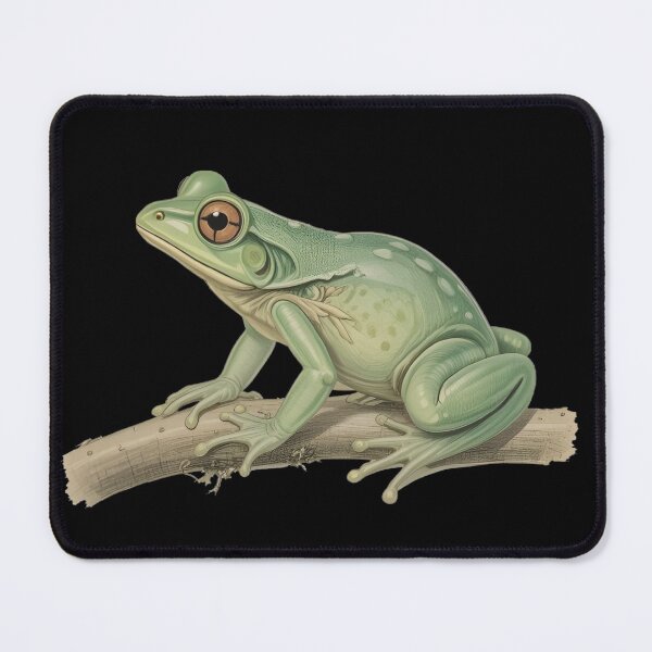 Item preview, Hyalinobatrachium fleischmanni Glass Frog Illustration – Transparent Rainforest Amphibian Art designed and sold by BloomStudio1.