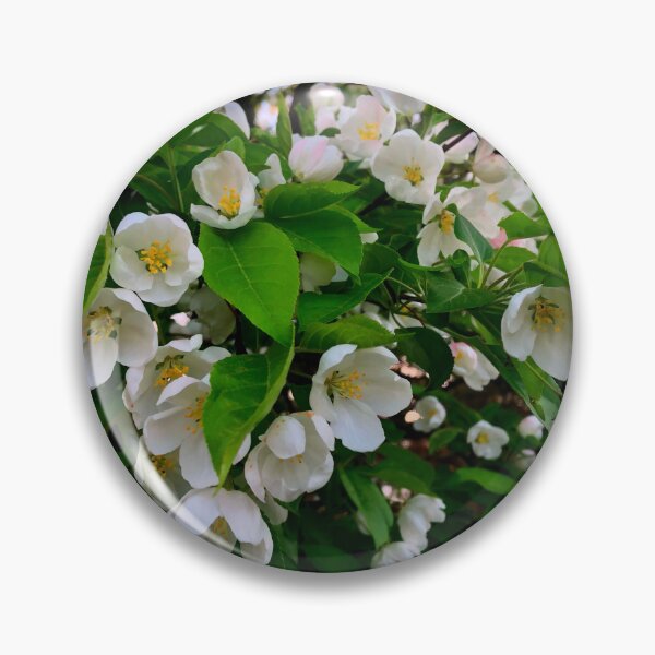 Item preview, White flowering tree, spring blossoms, cherry tree, crabapple tree, dog wood designed and sold by hollycooper.