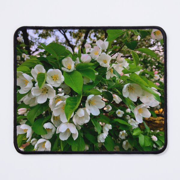 Item preview, White flowering tree, spring blossoms, cherry tree, crabapple tree, dog wood designed and sold by hollycooper.