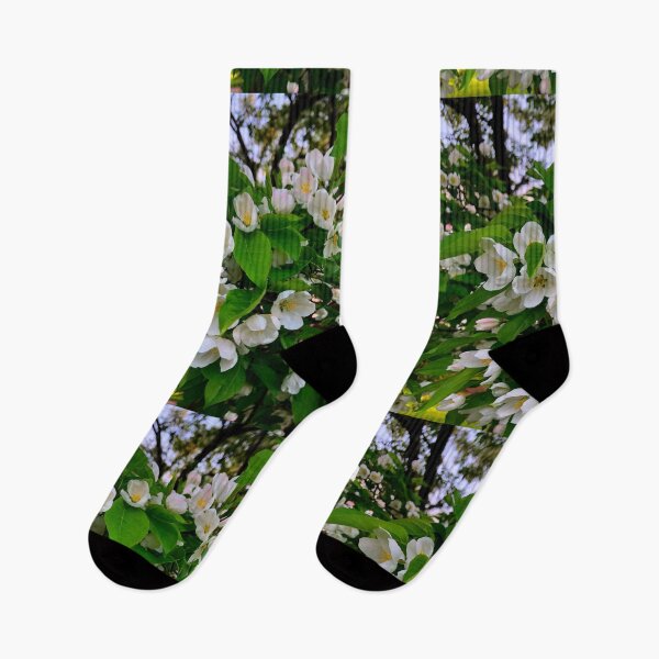 Item preview, White flowering tree, spring blossoms, cherry tree, crabapple tree, dog wood designed and sold by hollycooper.