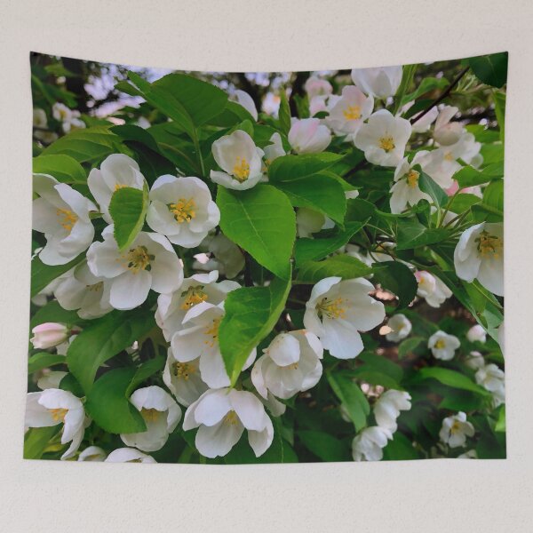 Item preview, White flowering tree, spring blossoms, cherry tree, crabapple tree, dog wood designed and sold by hollycooper.
