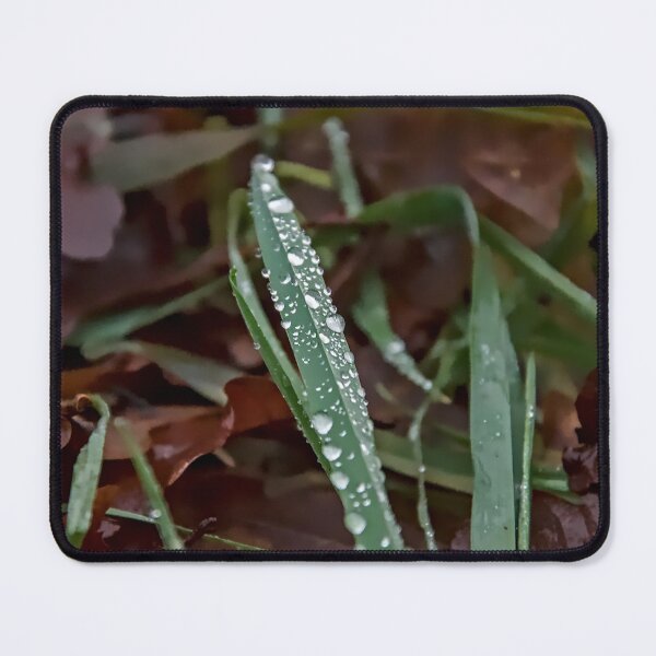 Item preview, Dewdrops on Grass Blade designed and sold by ShotsbyDesiree.