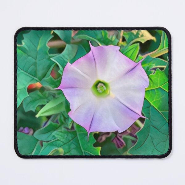 Item preview, Jimson Weed at Sunset designed and sold by oh-bi-me.