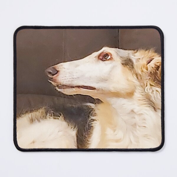 Item preview, Relaxed White and Cream Hound Lying on Sofa in Cozy Home Setting designed and sold by ivon55.