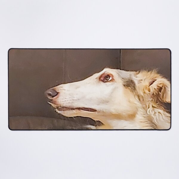 Item preview, Relaxed White and Cream Hound Lying on Sofa in Cozy Home Setting designed and sold by ivon55.