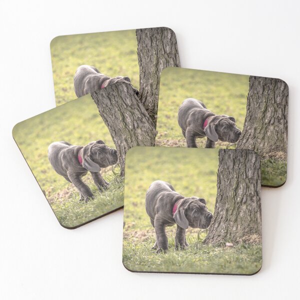 Item preview, Cane Corso Puppy  Adorable Italian Mastiff Dog Photography designed and sold by Anna-Kik.