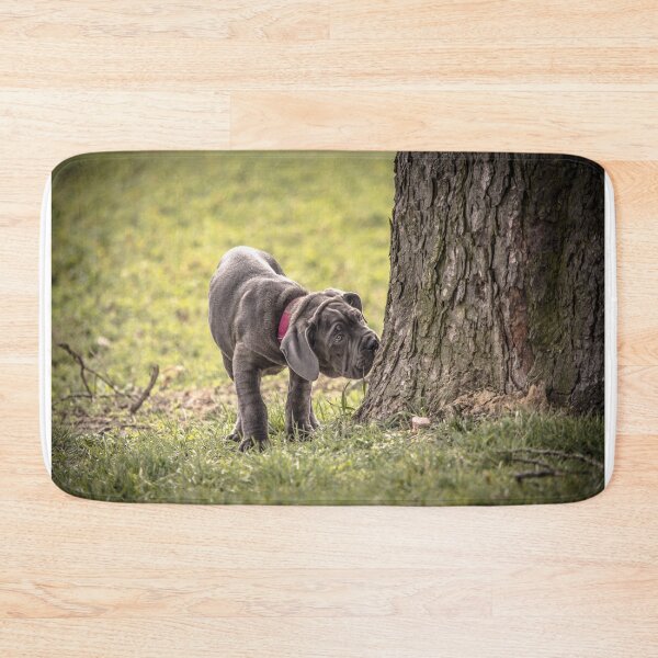 Item preview, Cane Corso Puppy  Adorable Italian Mastiff Dog Photography designed and sold by Anna-Kik.