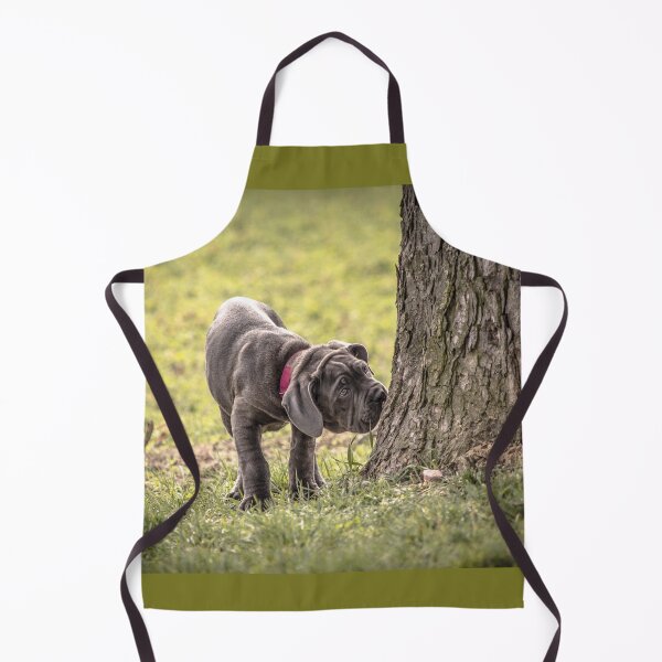 Item preview, Cane Corso Puppy  Adorable Italian Mastiff Dog Photography designed and sold by Anna-Kik.