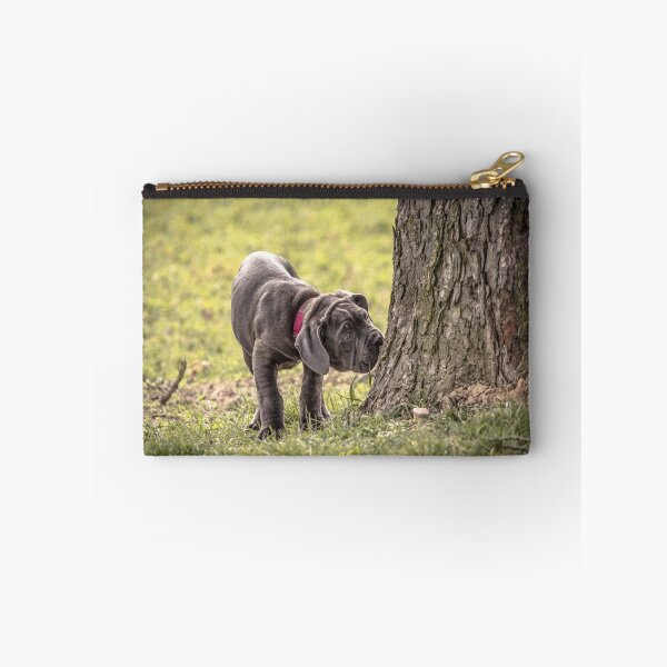 Item preview, Cane Corso Puppy  Adorable Italian Mastiff Dog Photography designed and sold by Anna-Kik.