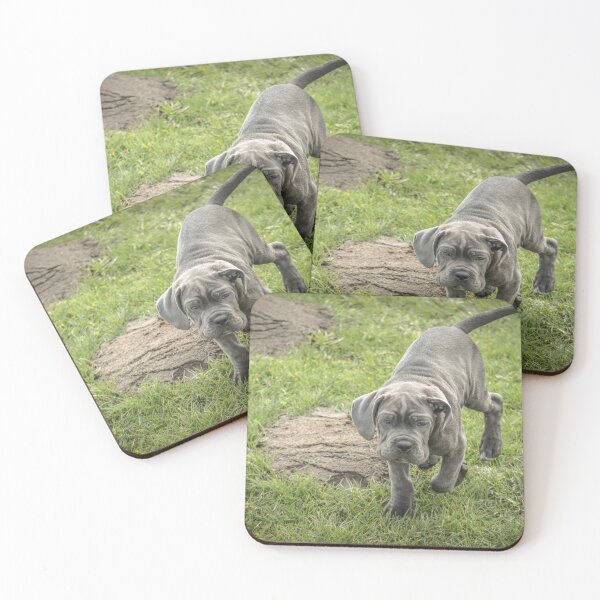 Item preview, Cane Corso Puppy Photography  Gift for Cane Corso Owners designed and sold by Anna-Kik.