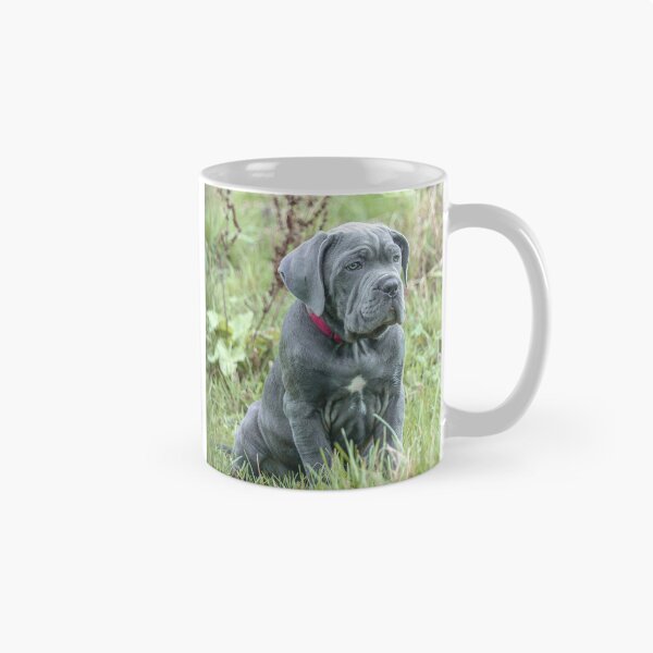 Item preview, Blue Cane Corso Puppy Rare Mastiff Breed Photography designed and sold by Anna-Kik.