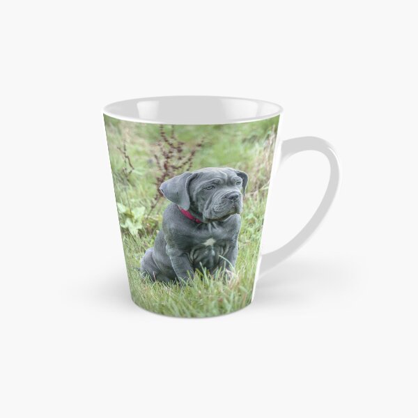 Item preview, Blue Cane Corso Puppy Rare Mastiff Breed Photography designed and sold by Anna-Kik.