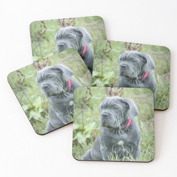 Item preview, Cane Corso Puppy Aesthetic  Elegant Working Dog Portrait designed and sold by Anna-Kik.