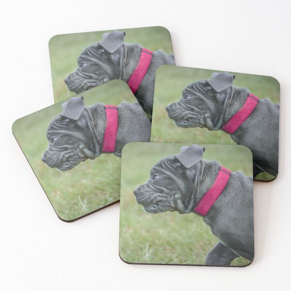 Item preview, Italian Mastiff Puppy  Cane Corso Dog Lover Design designed and sold by Anna-Kik.