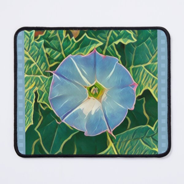 Item preview, Blue Datura Bloom in Blue Frame designed and sold by oh-bi-me.