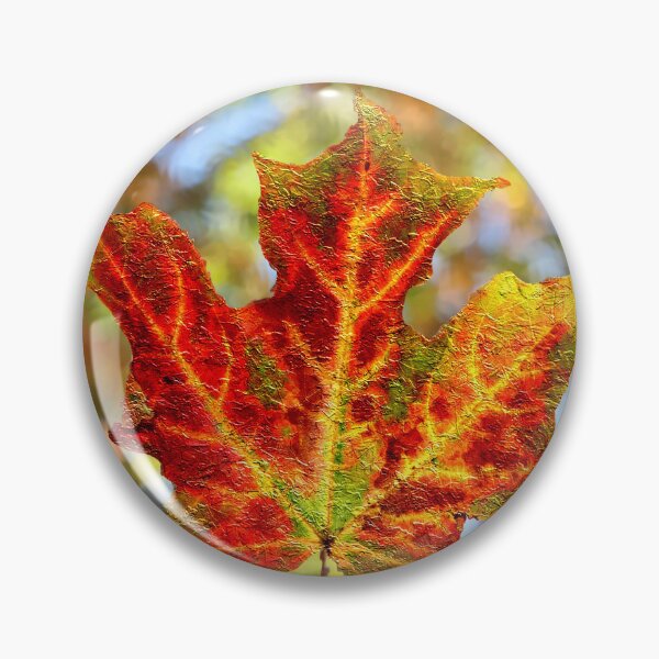 Item preview,  Colorful Autumn Leaf Against Blurred Out Leaves designed and sold by BostonArcImage.