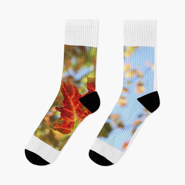 Item preview,  Colorful Autumn Leaf Against Blurred Out Leaves designed and sold by BostonArcImage.