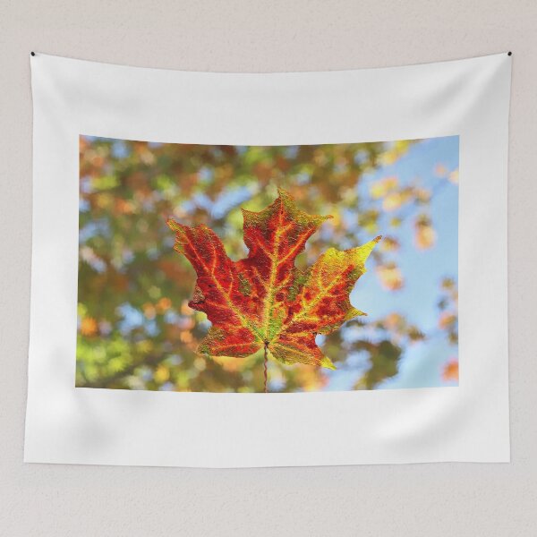 Item preview,  Colorful Autumn Leaf Against Blurred Out Leaves designed and sold by BostonArcImage.