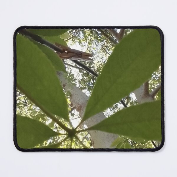 Item preview, Patio 3 designed and sold by leonardopintos.