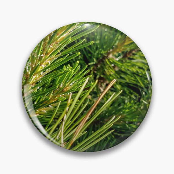 Item preview, Pine Needles designed and sold by OddLilFox.