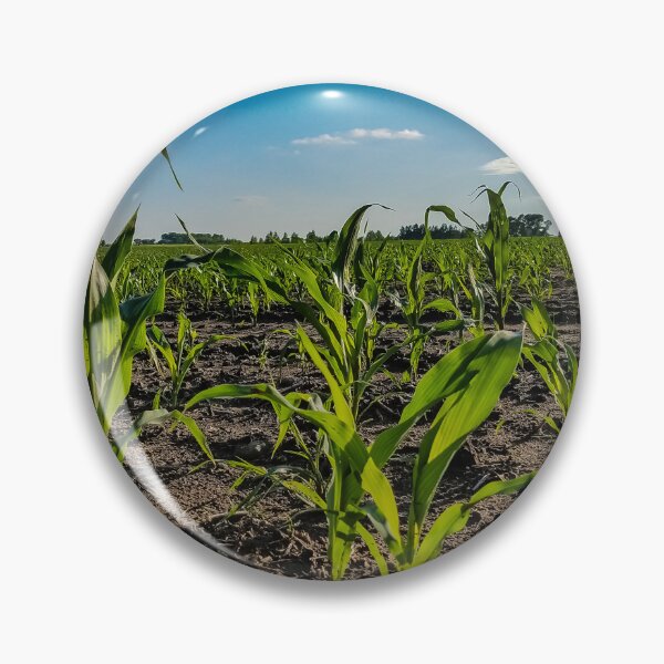Item preview, Corn Field designed and sold by OddLilFox.