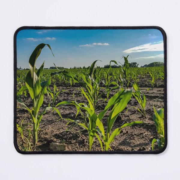 Item preview, Corn Field designed and sold by OddLilFox.