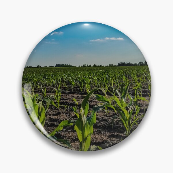 Item preview, Corn Field designed and sold by OddLilFox.