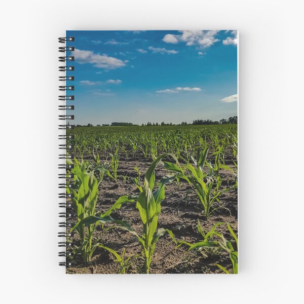 Item preview, Corn Field designed and sold by OddLilFox.