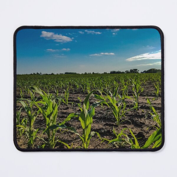 Item preview, Corn Field designed and sold by OddLilFox.