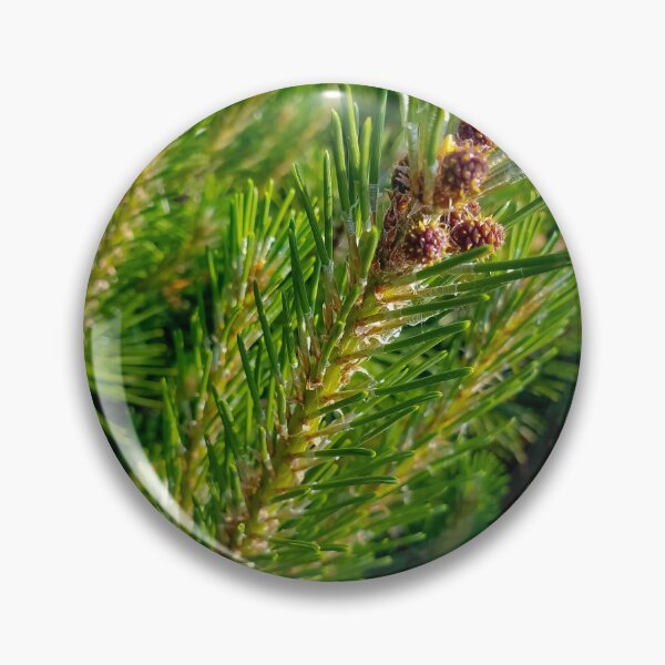Item preview, Pine Needles designed and sold by OddLilFox.