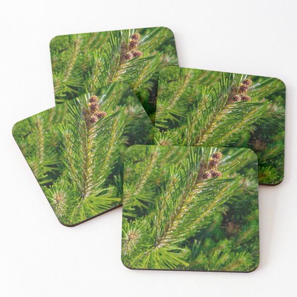 Item preview, Pine Needles designed and sold by OddLilFox.