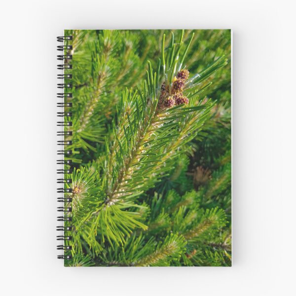 Item preview, Pine Needles designed and sold by OddLilFox.