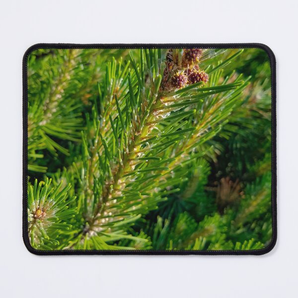 Item preview, Pine Needles designed and sold by OddLilFox.