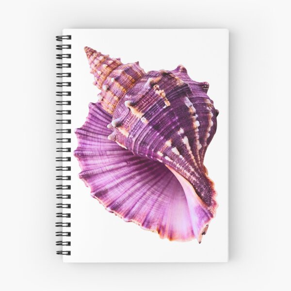 Item preview, Seashell designed and sold by di-Vera-Rosati.