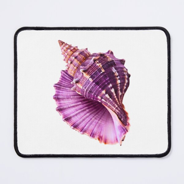 Item preview, Seashell designed and sold by di-Vera-Rosati.