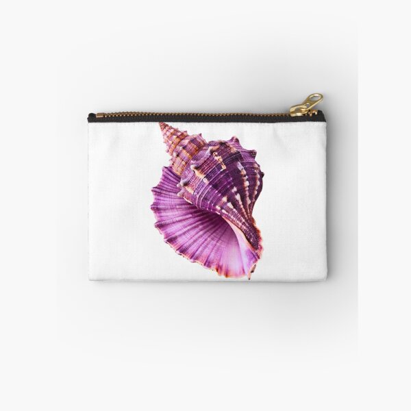 Item preview, Seashell designed and sold by di-Vera-Rosati.