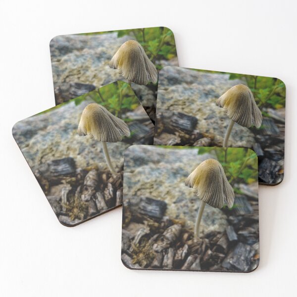 Item preview, Mushroom designed and sold by OddLilFox.