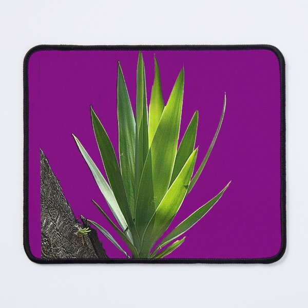 Item preview, Vibrant Palm Shoot Botanical Art designed and sold by Armadillo222.