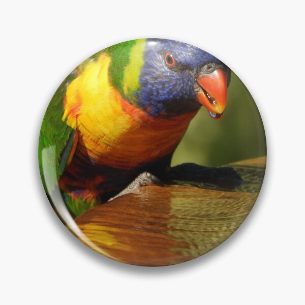 Item preview, Rainbow Reflections designed and sold by Claire L Page Photography.