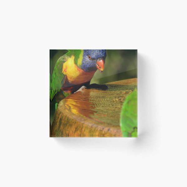 Item preview, Rainbow Reflections designed and sold by Claire L Page Photography.
