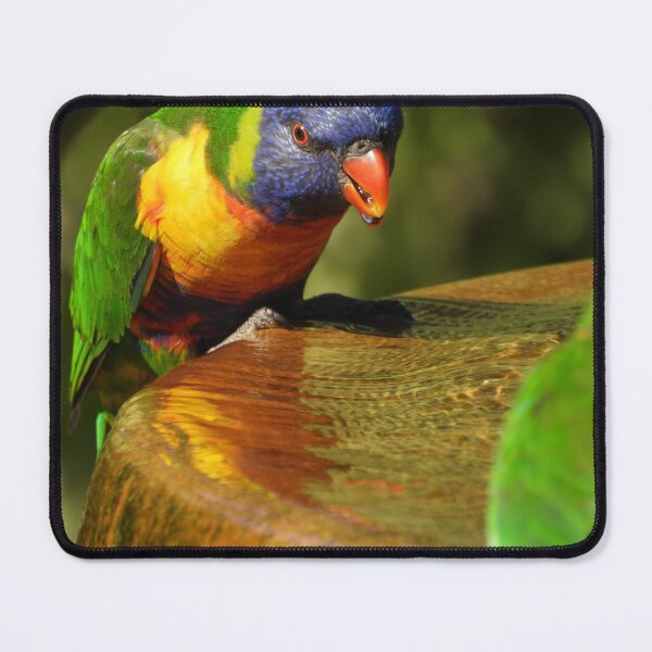Item preview, Rainbow Reflections designed and sold by Claire L Page Photography.