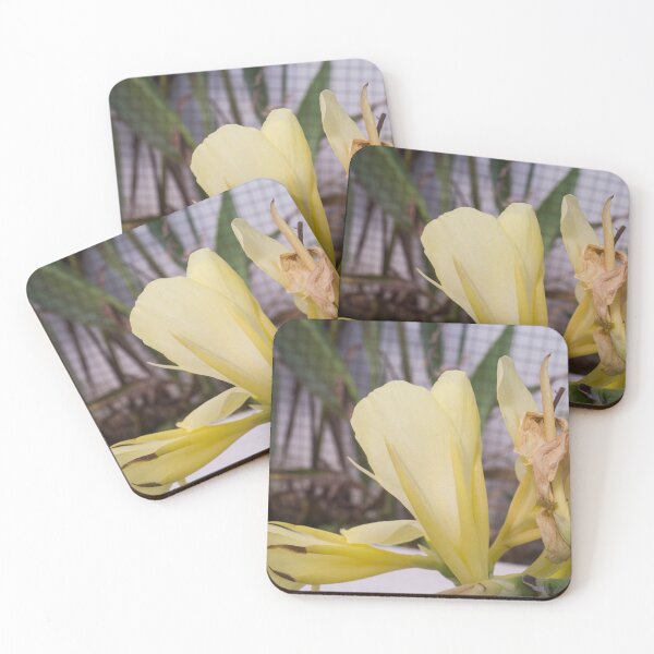 Item preview, Yellow Canna lily designed and sold by ROSE ANN BANILAR.