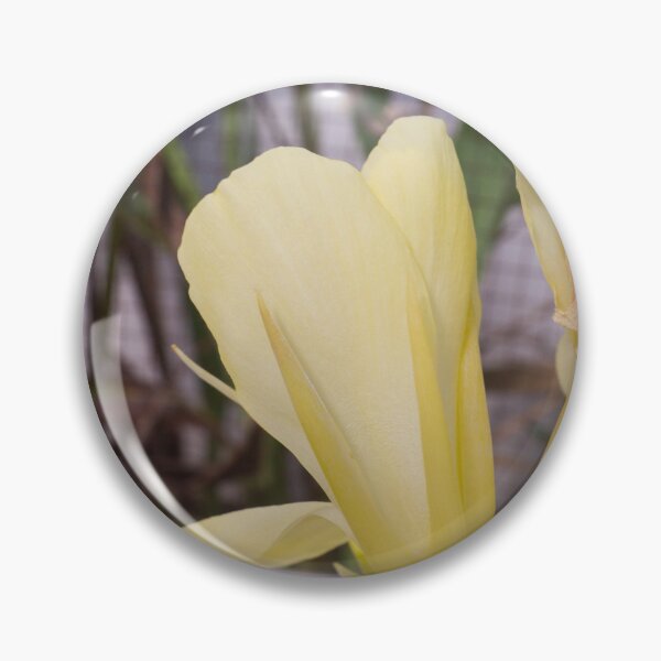 Item preview, Yellow Canna lily designed and sold by ROSE ANN BANILAR.