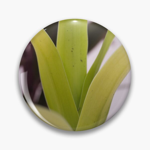 Item preview, Corn Plant designed and sold by ROSE ANN BANILAR.