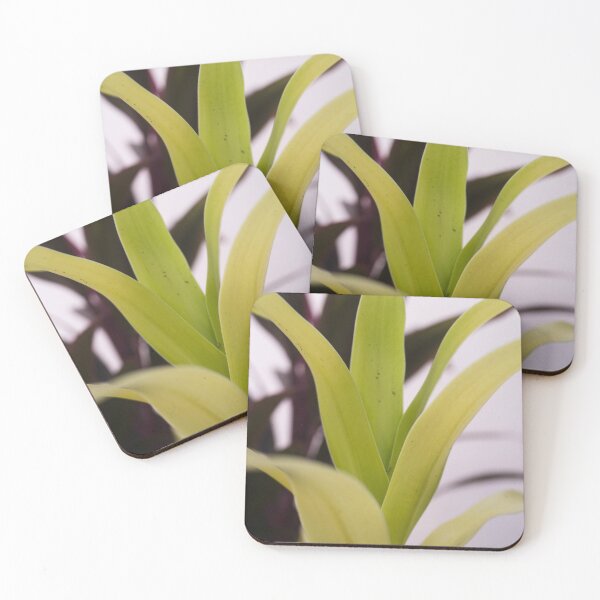 Item preview, Corn Plant designed and sold by ROSE ANN BANILAR.