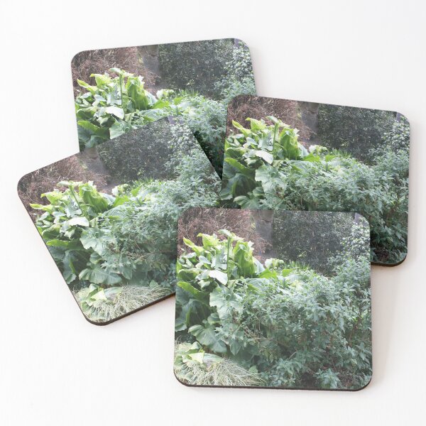 Item preview, Bushes designed and sold by BrittanyWilton.