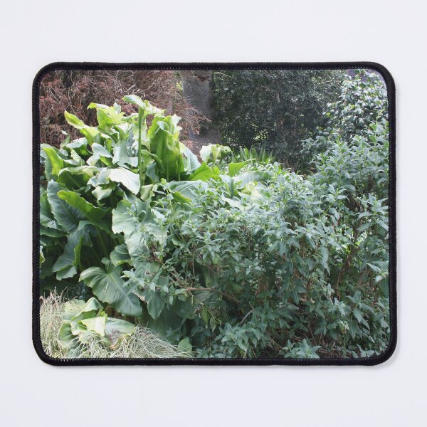 Item preview, Bushes designed and sold by BrittanyWilton.